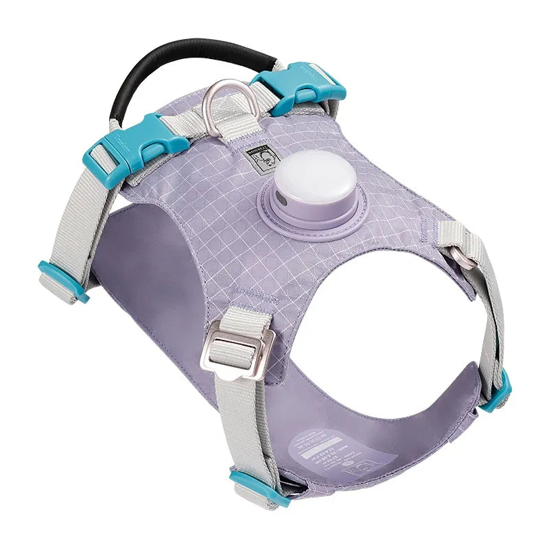 Truelove - Hondentuigje met LED Verlichting