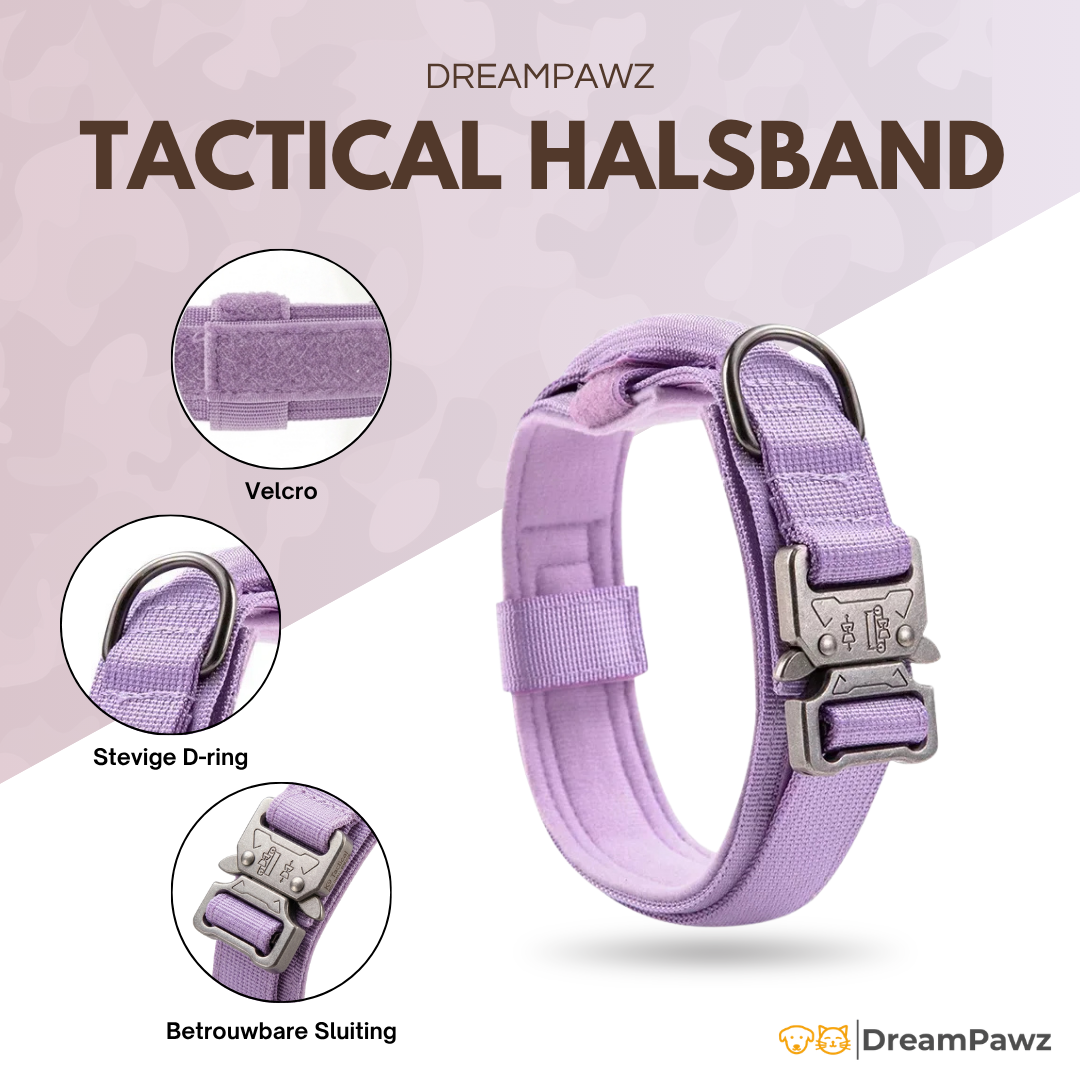 Kleurrijke Tactical Hondenhalsband