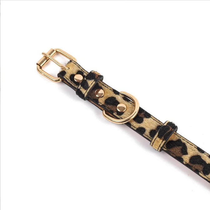 Hondenhalsband met panter print gouden gesp voorkant