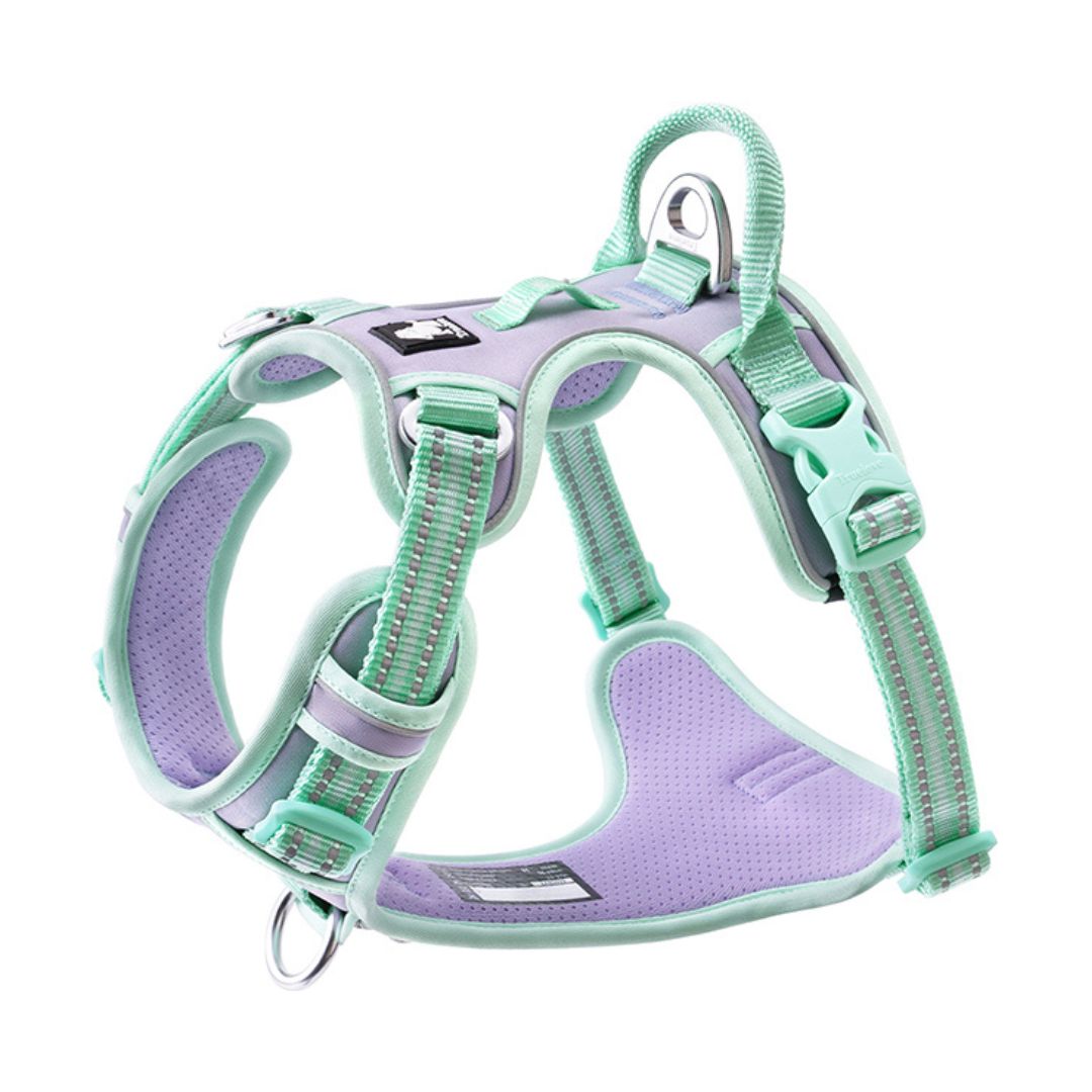 Truelove - Pastel Anti-Trek & Reflecterend Hondentuigje - Truelove