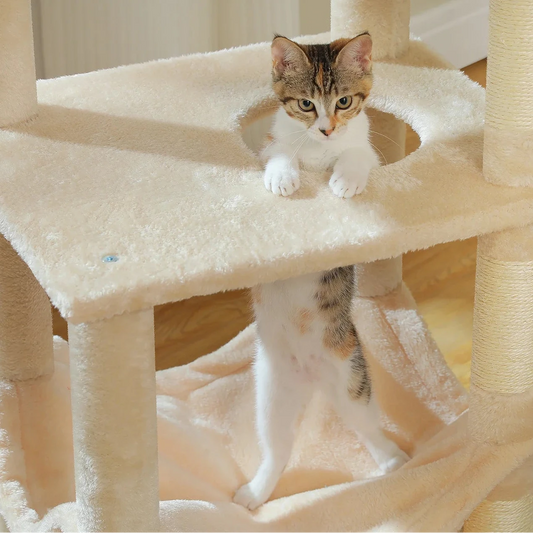 6-Laagse Krabpaal – 140 cm Hoog - DreamPawz