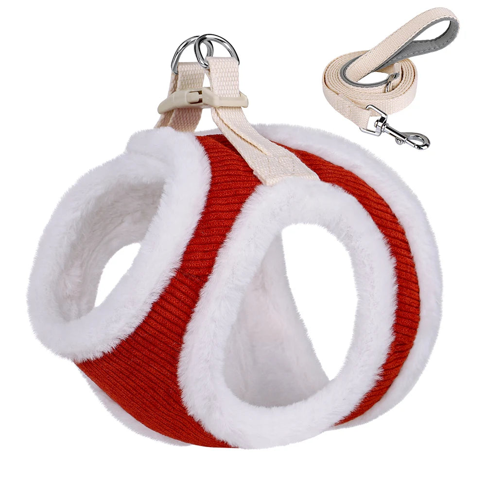 Winters Instaptuigje met Riem (Set) voor Kleine Honden of Katten - Teddy