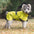 Waterdichte Regenjas voor Honden - DreamPawz
