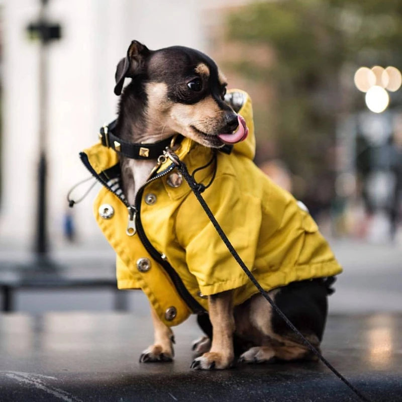 Waterdichte Regenjas met Kap voor Honden
