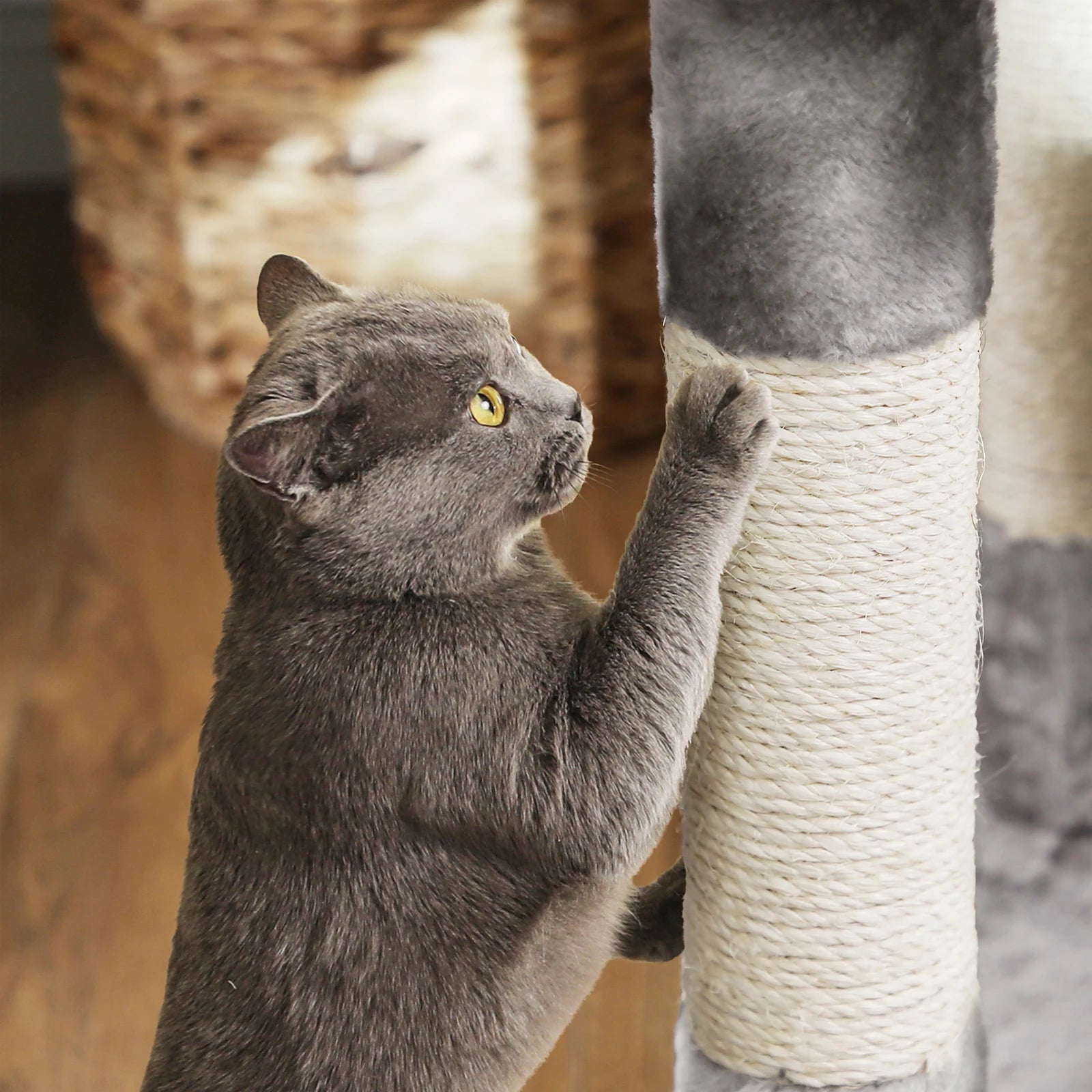 FEANDREA - Moderne Kattenkrabpaal
