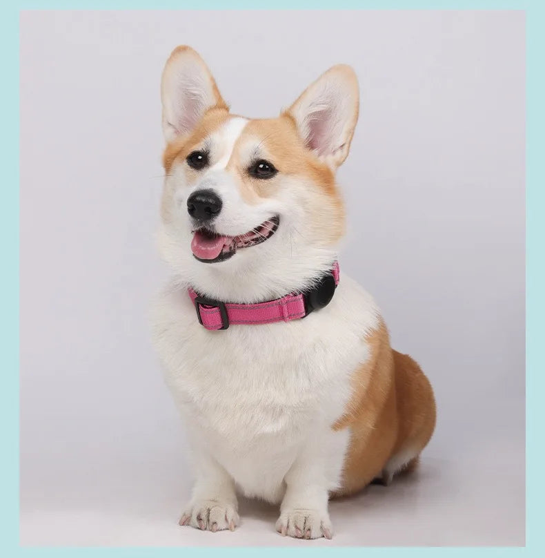 Reflecterende Halsband met AirTag-houder - DreamPawz