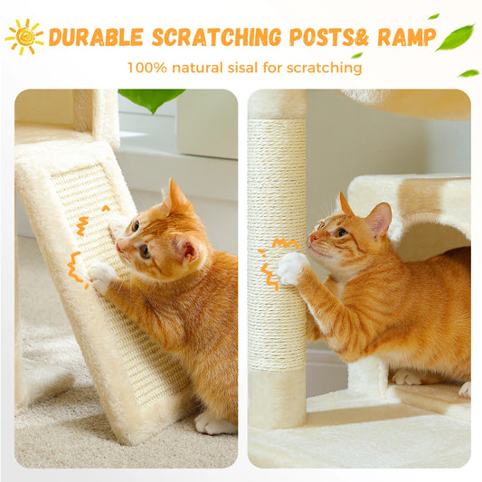 Pawz Road - Compacte Krabpaal - DreamPawz