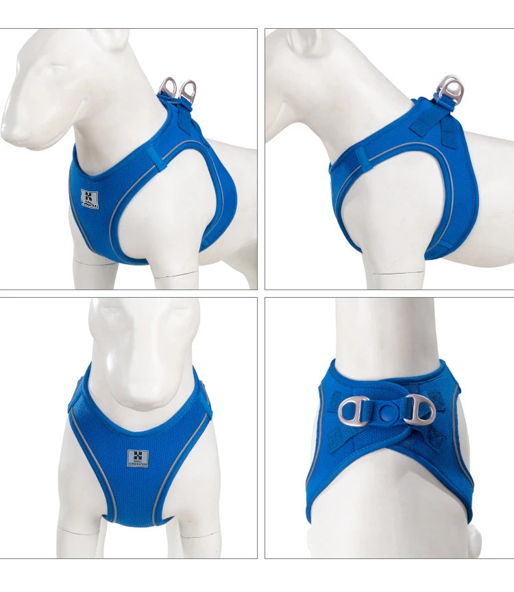 Small Combination - Reflecterende Set met Instaptuigje en Handsfree Riem