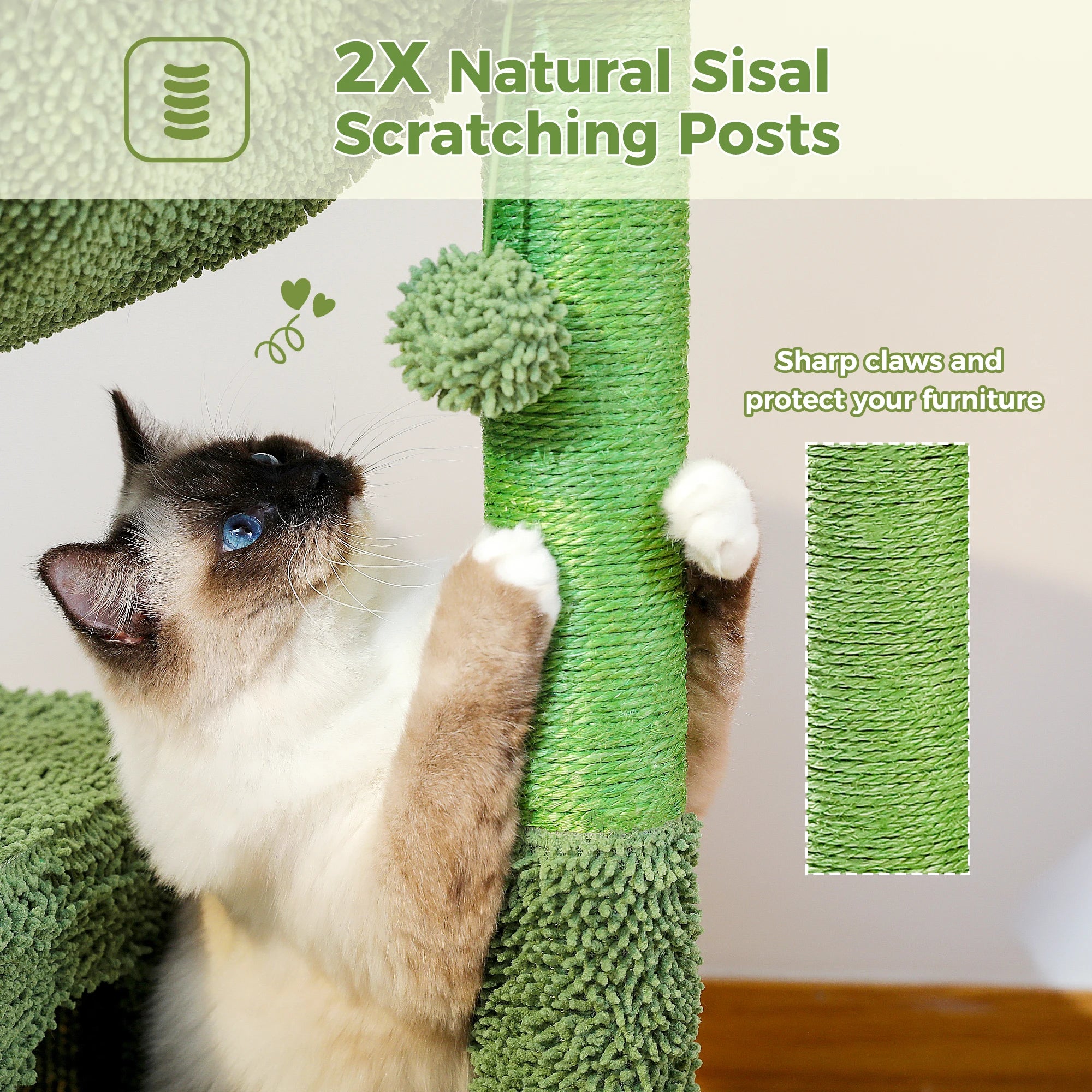 Pawz Road - Cactus Krabpaal & Slaapplaats - DreamPawz