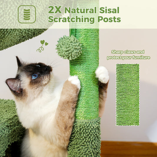 Pawz Road - Cactus Krabpaal & Slaapplaats - DreamPawz