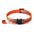 Reflecterende Kattenhalsband met Bel - DreamPawz