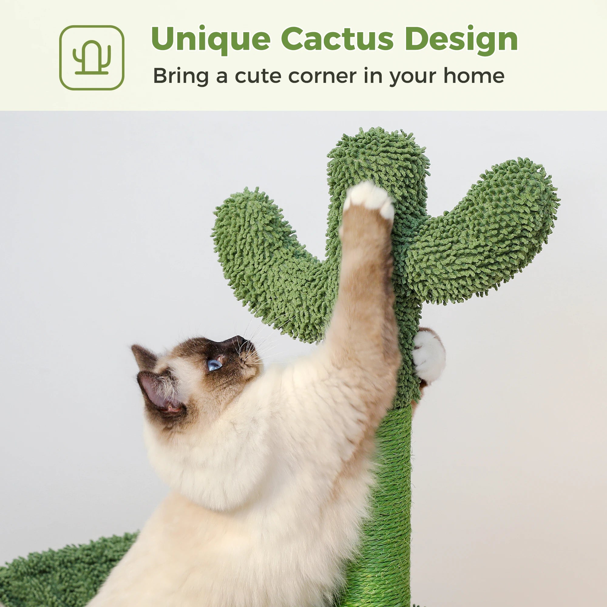 Pawz Road - Cactus Krabpaal & Slaapplaats - DreamPawz