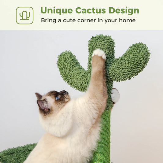 Pawz Road - Cactus Krabpaal & Slaapplaats - DreamPawz