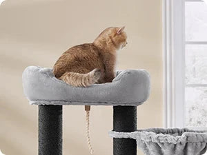 Feandrea - Grote Krabpaal met Hangmat & Kattenhuis - DreamPawz