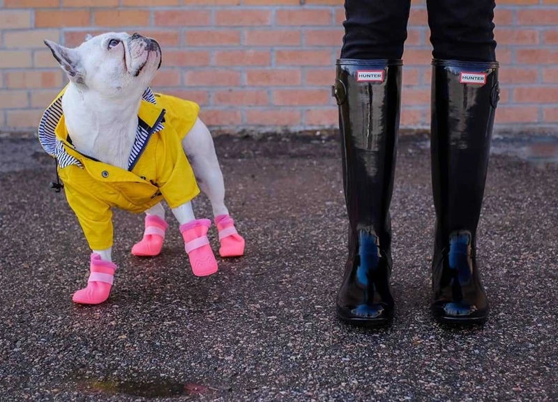 Waterdichte Regenjas met Kap voor Honden