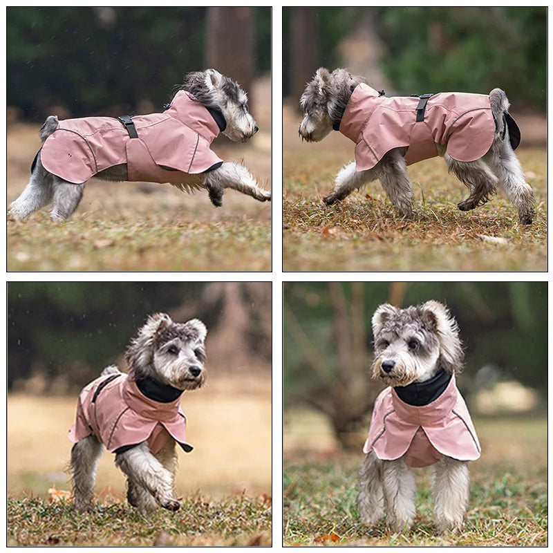 Waterdichte Regenjas voor Honden - DreamPawz