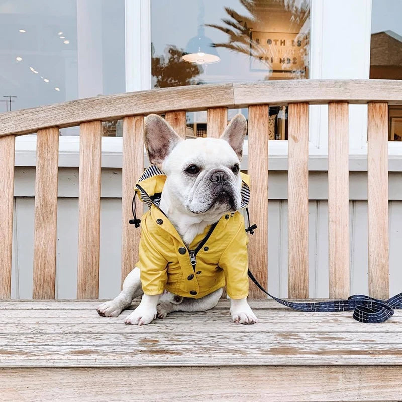 Waterdichte Regenjas met Kap voor Honden