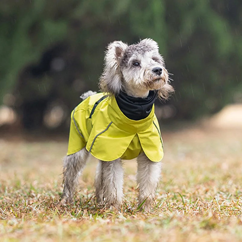 Waterdichte Regenjas voor Honden - DreamPawz
