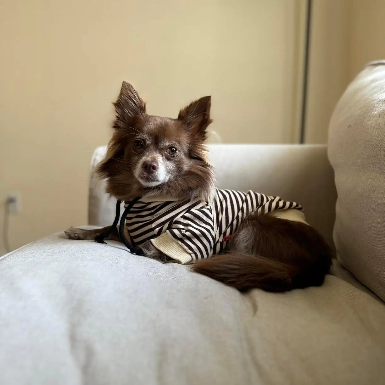 Matching Hoodie voor Hond & Baasje - B/W Stripes