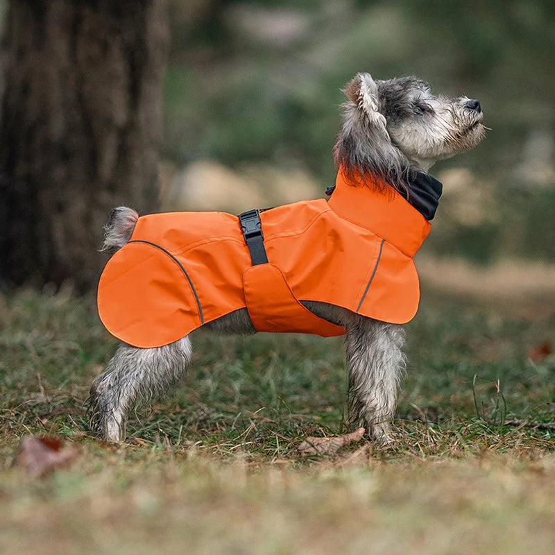 Waterdichte Regenjas voor Honden - DreamPawz