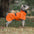Waterdichte Regenjas voor Honden - DreamPawz