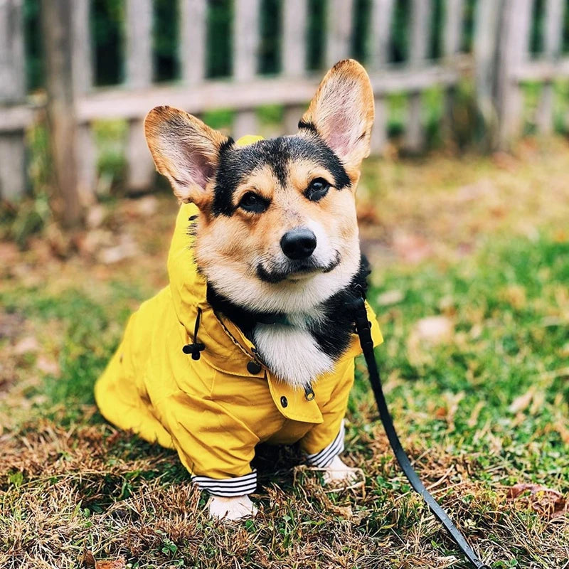Waterdichte Regenjas met Kap voor Honden