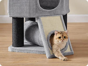 Feandrea - Grote Krabpaal met Hangmat & Kattenhuis - DreamPawz