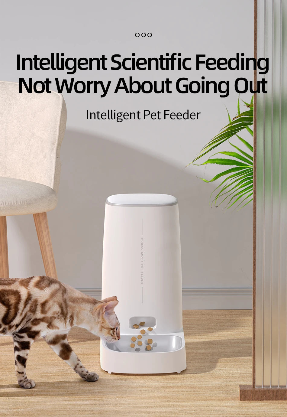 ROJECO - WiFi Automatische Voerbak Kat & Hond - App Bediening 4L