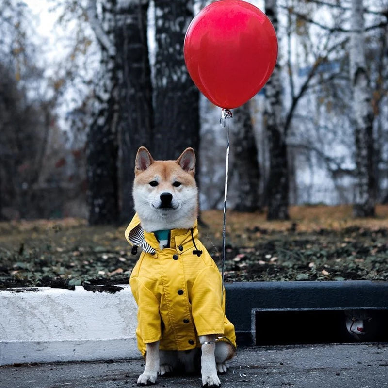 Waterdichte Regenjas met Kap voor Honden