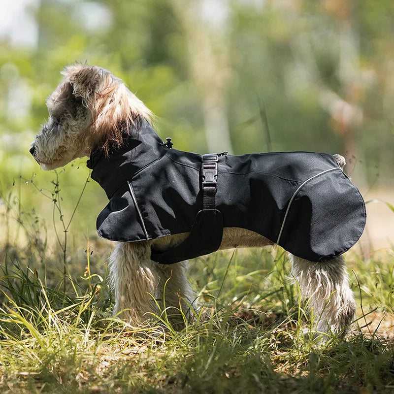Waterdichte Regenjas voor Honden - DreamPawz