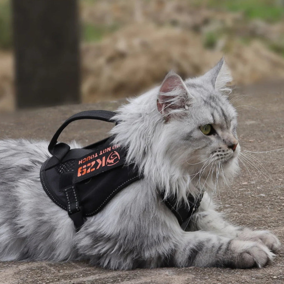 Reflecterend Tactical Kattentuigje