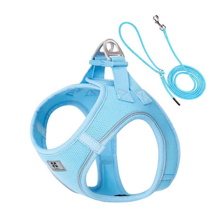Small Combination - Reflecterende Set met Instaptuigje en Handsfree Riem