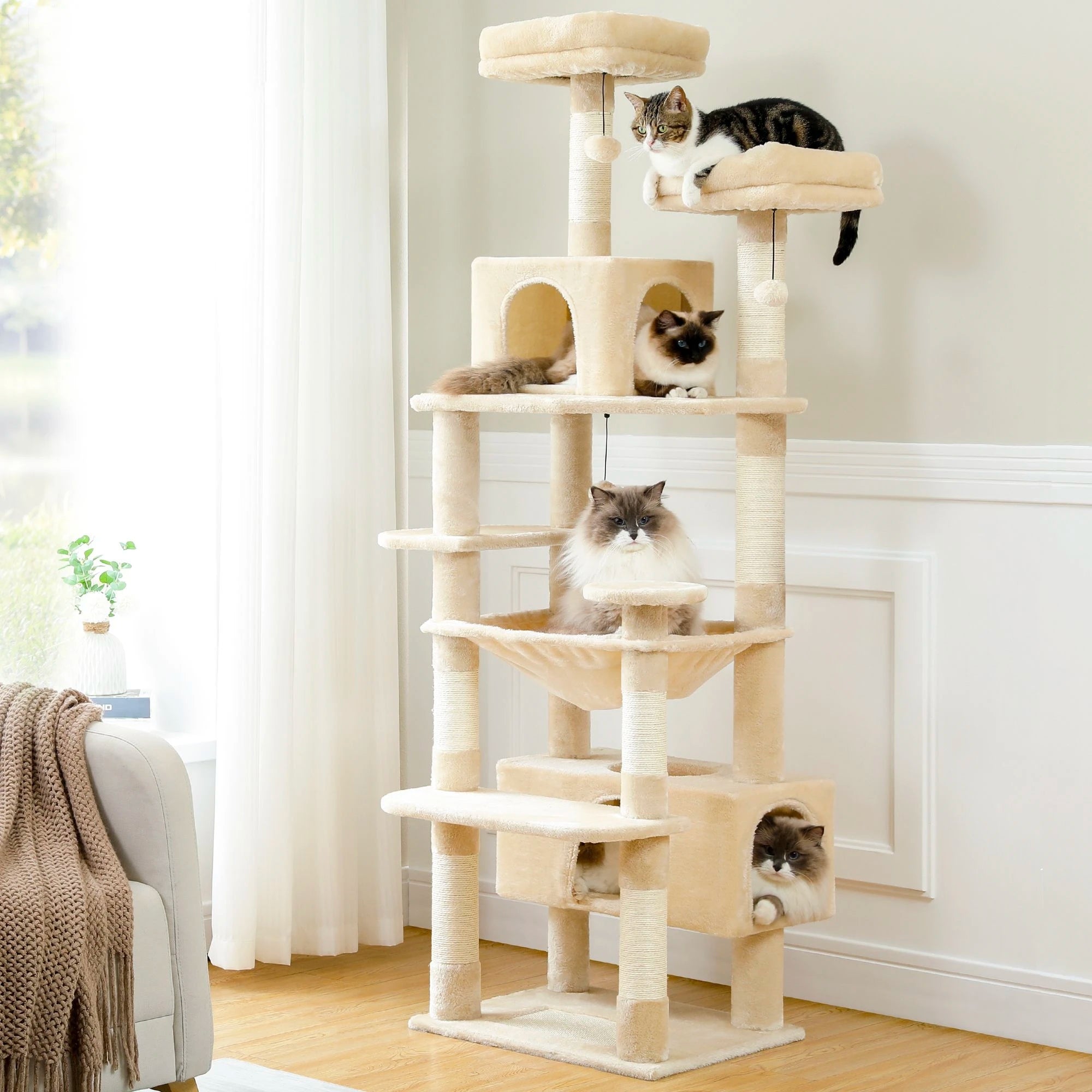Pawz Road - XL Krabpaal voor Grote Katten met Hangmat & XXL Condo - DreamPawz