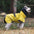 Waterdichte Regenjas voor Honden - DreamPawz