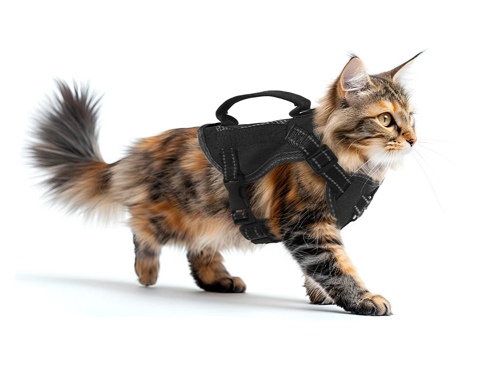 Reflecterend Tactical Kattentuigje