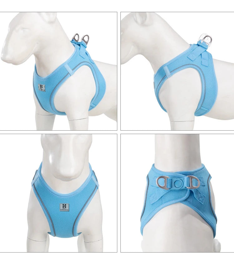 Small Combination - Reflecterende Set met Instaptuigje en Handsfree Riem