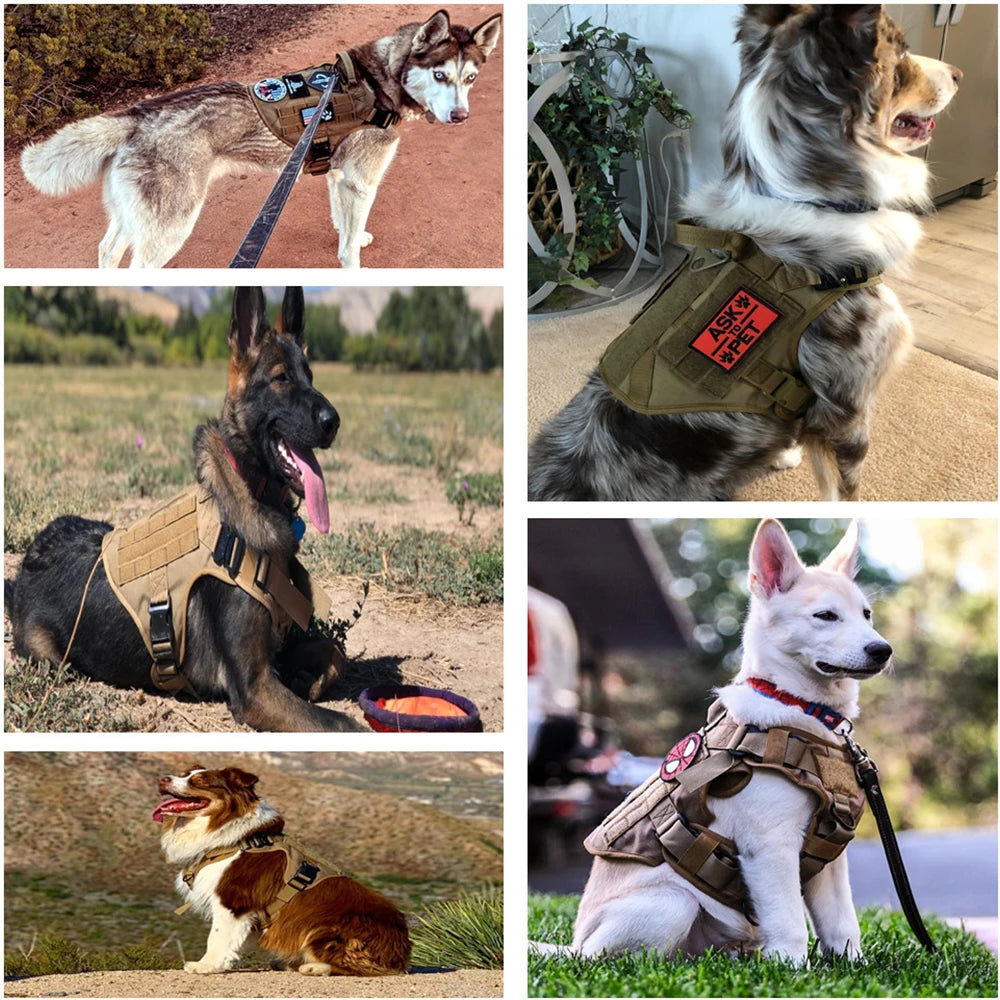 Tactical Hondentuigje met Leiband & 12 Patches - K9
