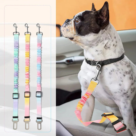 Kleurrijke Autogordel voor Honden - DreamPawz