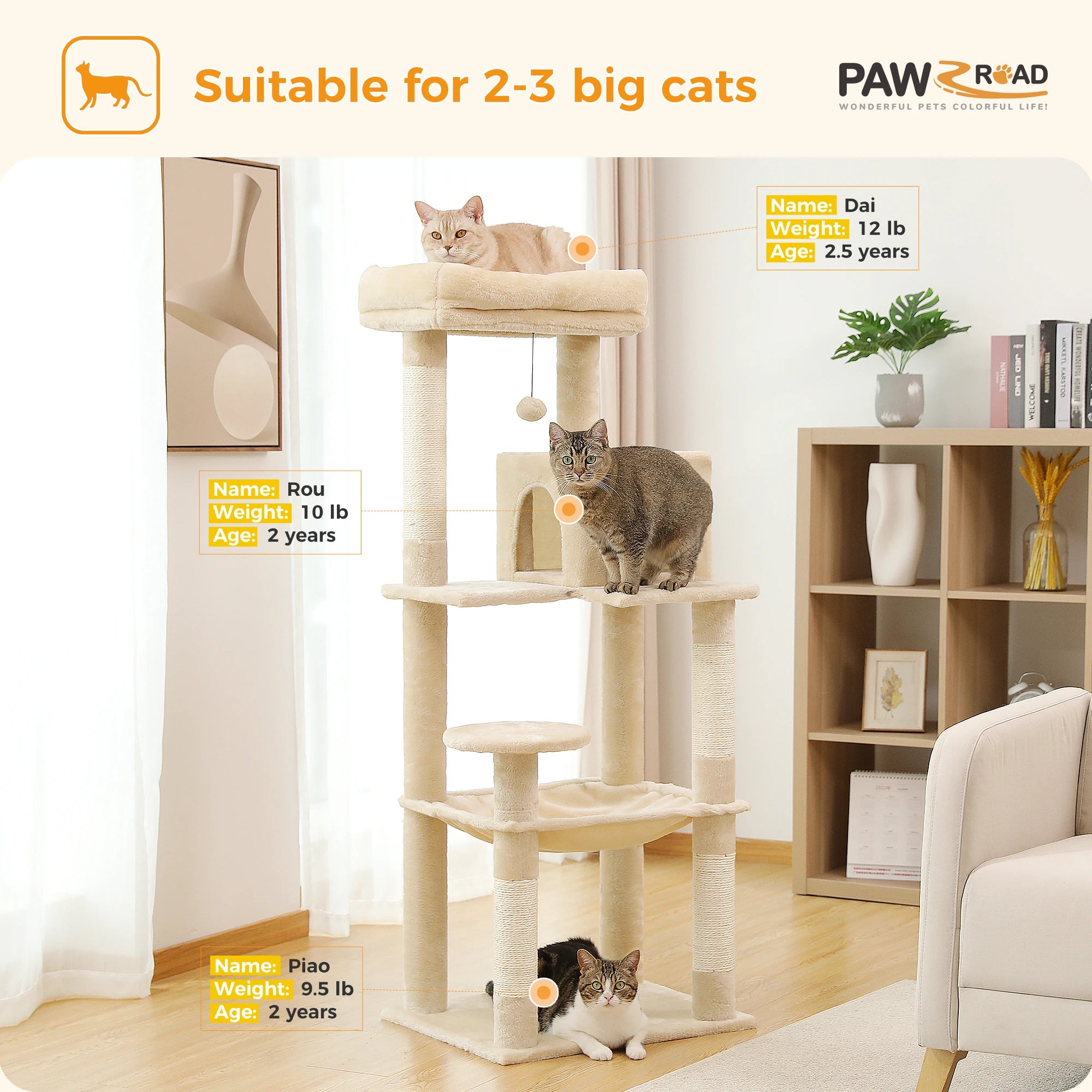 Pawz Road - Luxe Krabpaal met Hangmat, Kattenhuis & Uitkijkplateau - DreamPawz