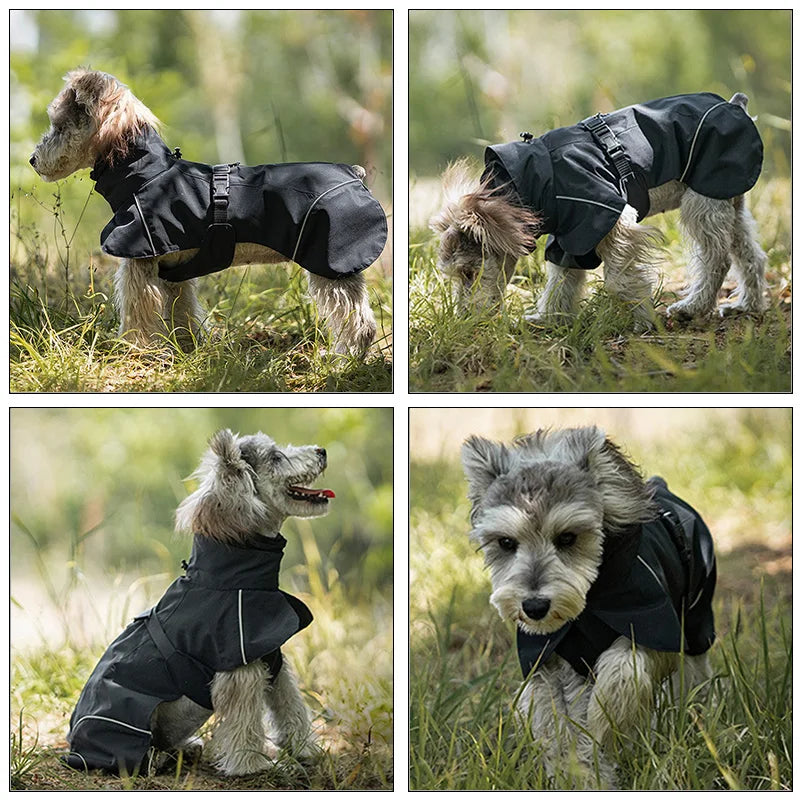 Waterdichte Regenjas voor Honden - DreamPawz