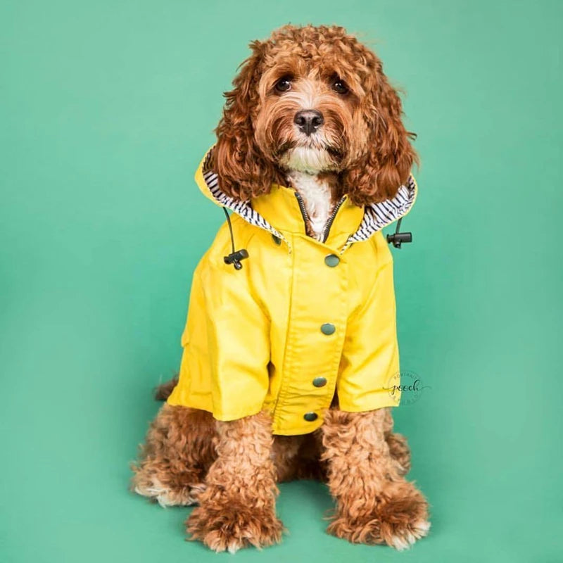 Waterdichte Regenjas met Kap voor Honden