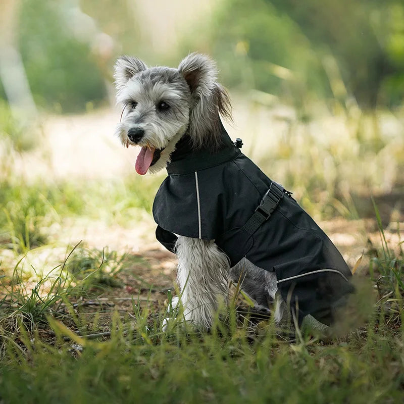Waterdichte Regenjas voor Honden - DreamPawz