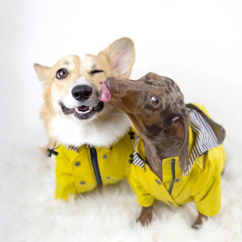 Waterdichte Regenjas met Kap voor Honden