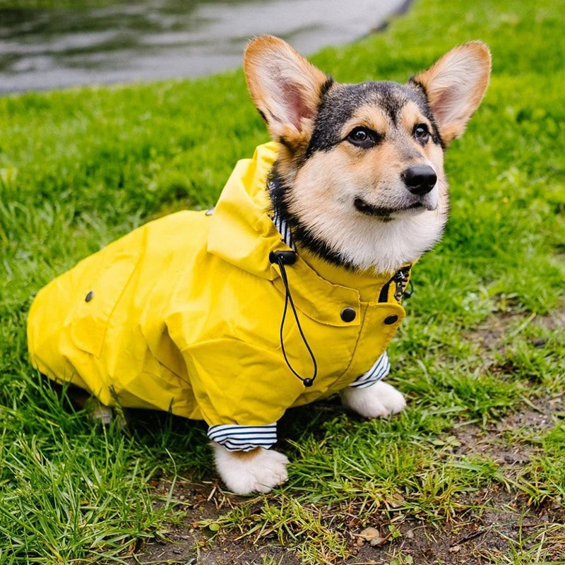 Waterdichte Regenjas met Kap voor Honden
