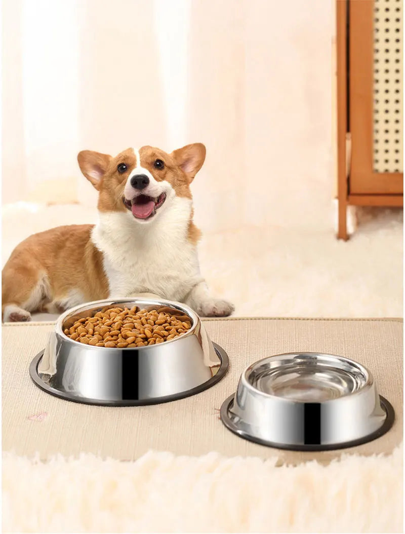 Hoogwaardige RVS Voerbak voor Honden en Katten - Anti-Kip, Anti-Mieren Design