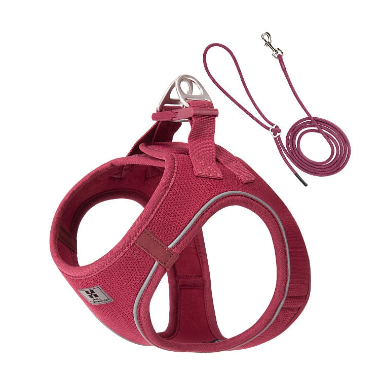 Small Combination - Reflecterende Set met Instaptuigje en Handsfree Riem