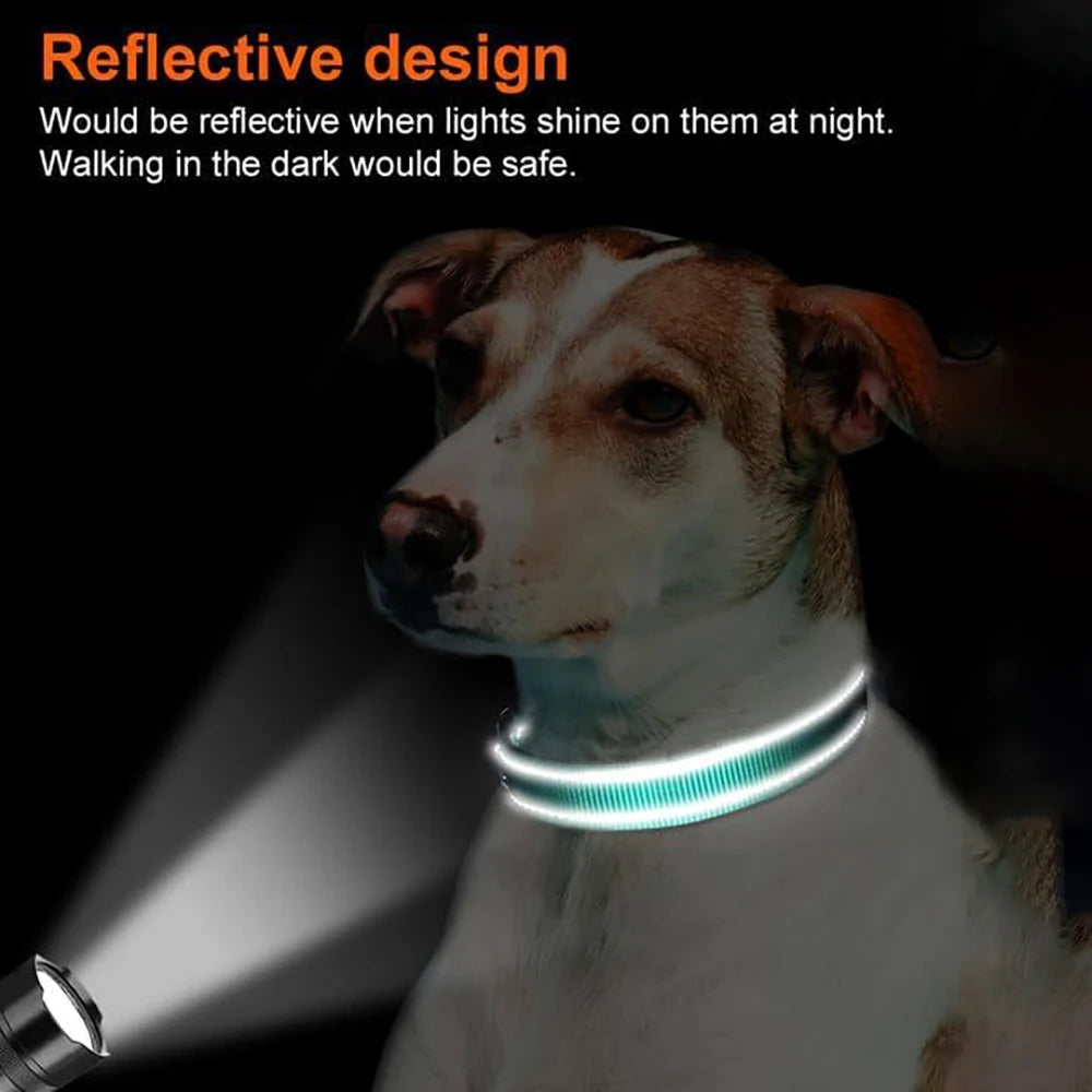 Reflecterende Halsband met AirTag-houder - DreamPawz