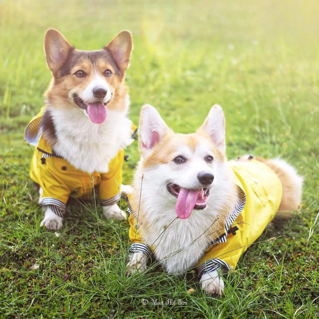 Waterdichte Regenjas met Kap voor Honden