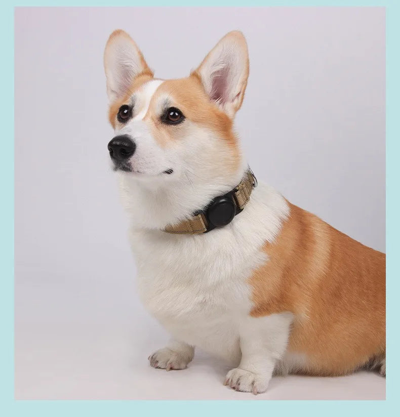 Reflecterende Halsband met AirTag-houder - DreamPawz