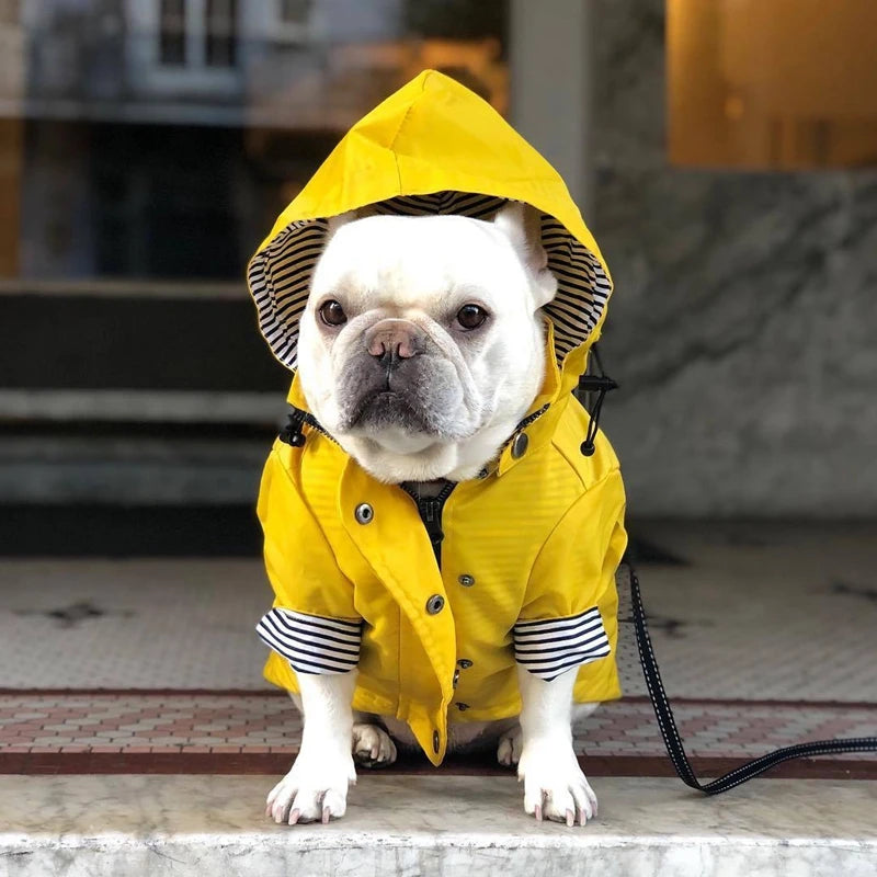 Waterdichte Regenjas met Kap voor Honden